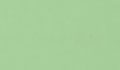 ral 6019